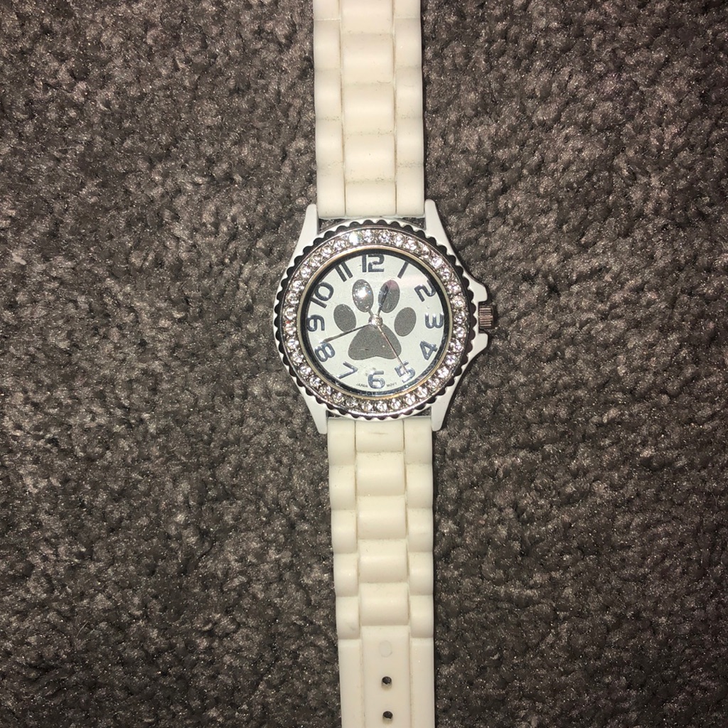 Geneva Watch